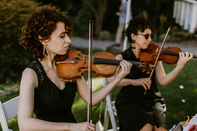 Viva la Vida Stumptown String Quartet